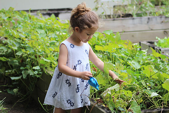 El impacto positivo de la jardinería en el desarrollo de los niños